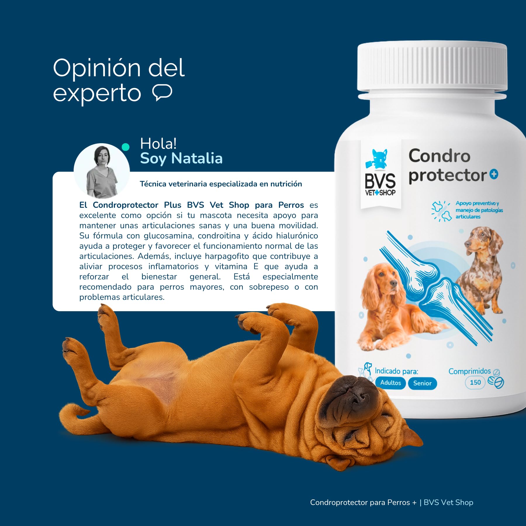 BVS Vet Shop | Condroprotector Plus para Perros | Ayuda para Problemas articulares de tu Mascota | 300 Comprimidos