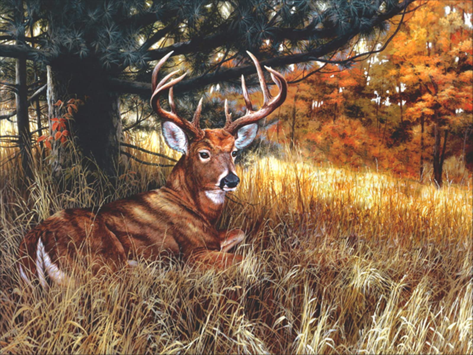 Puzzle 6000 pièces panorama wapiti en bois pour rompre l'ennui et décorer vos grands murs