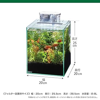新鮮な水草セット MeGreen 新鮮水草『WEB限定鮮やかセット』○割引対象外○