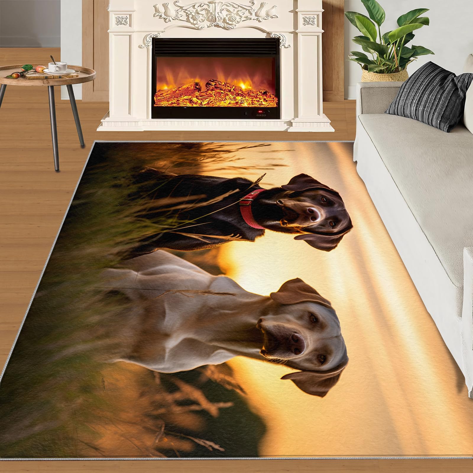 Labrador Retrievers Large Rug for Bedroom, Sunset Landscape Area Rugs 160x230 Carpet, Animal Dogs Rugs Non Slip Washable, Countryside Nature Stain Resistant Mats for Living room