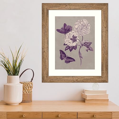 Miniatura 5 de Amanti Art Lienzo decorativo para pared, 24 x 20 pulgadas, estudio de la naturaleza en ciruela y gris pardo IV por Maria Merian, arte de pared de