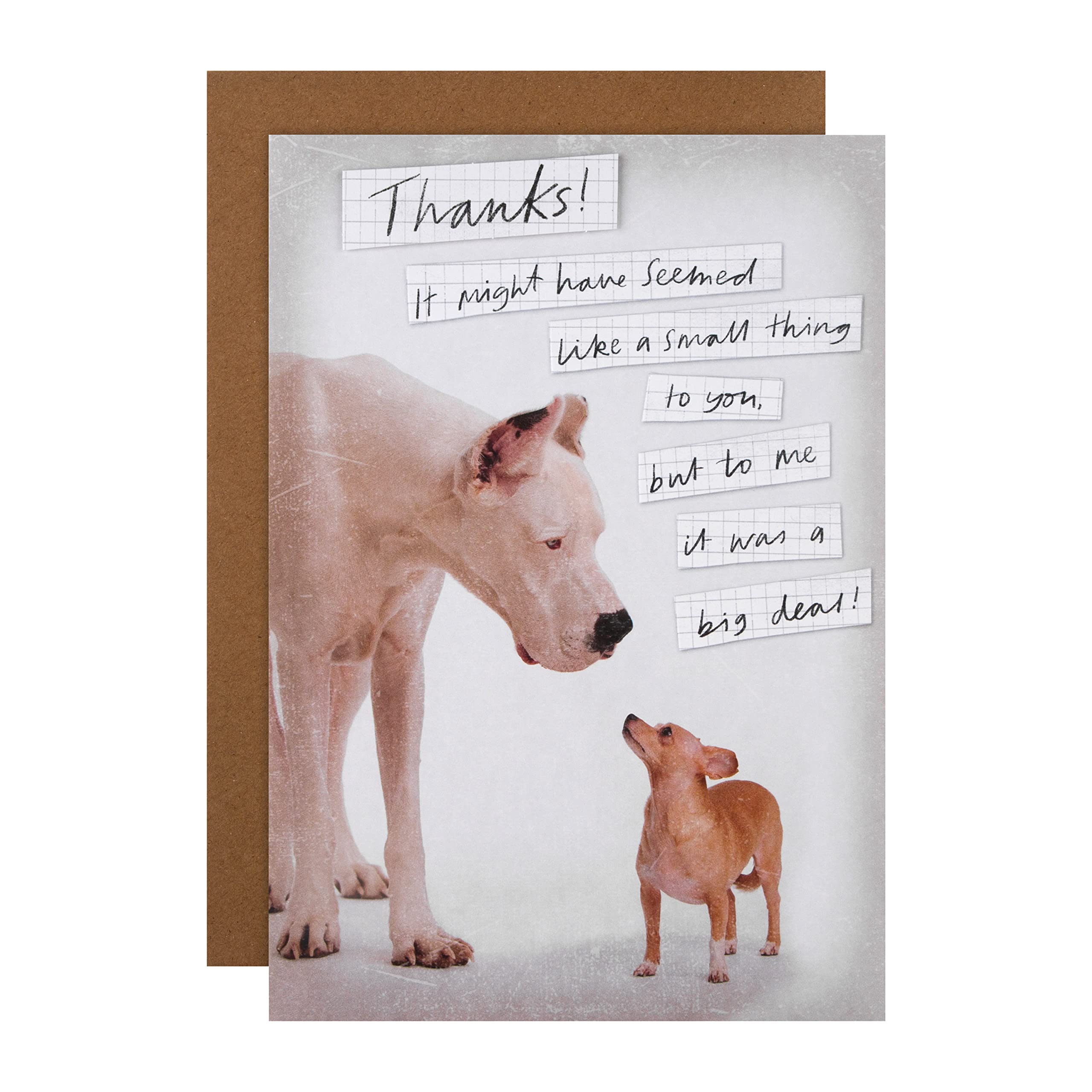 Biglietto D'auguri Hallmark Con Gatto Per Esami – Design Simpatico Con Dettagli In Foglia Oro, 16x16 Cm - 2