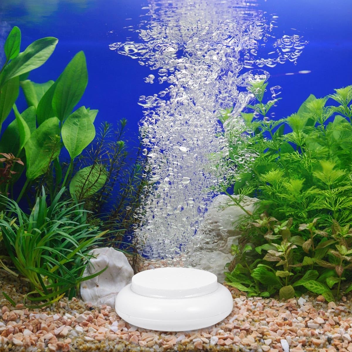 Yardwe 8stücke Luftstein Diffusor Für Aquarien Bubbler Für Hydroponik Leise Sauerstoffpumpe Gleichmäßige Blasenbildung Für Fischteiche Und Aquarien