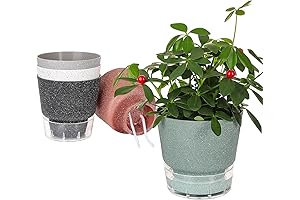 6 Inch Self Watering Pots with Drainage Holes for Indoor Plants, 5...