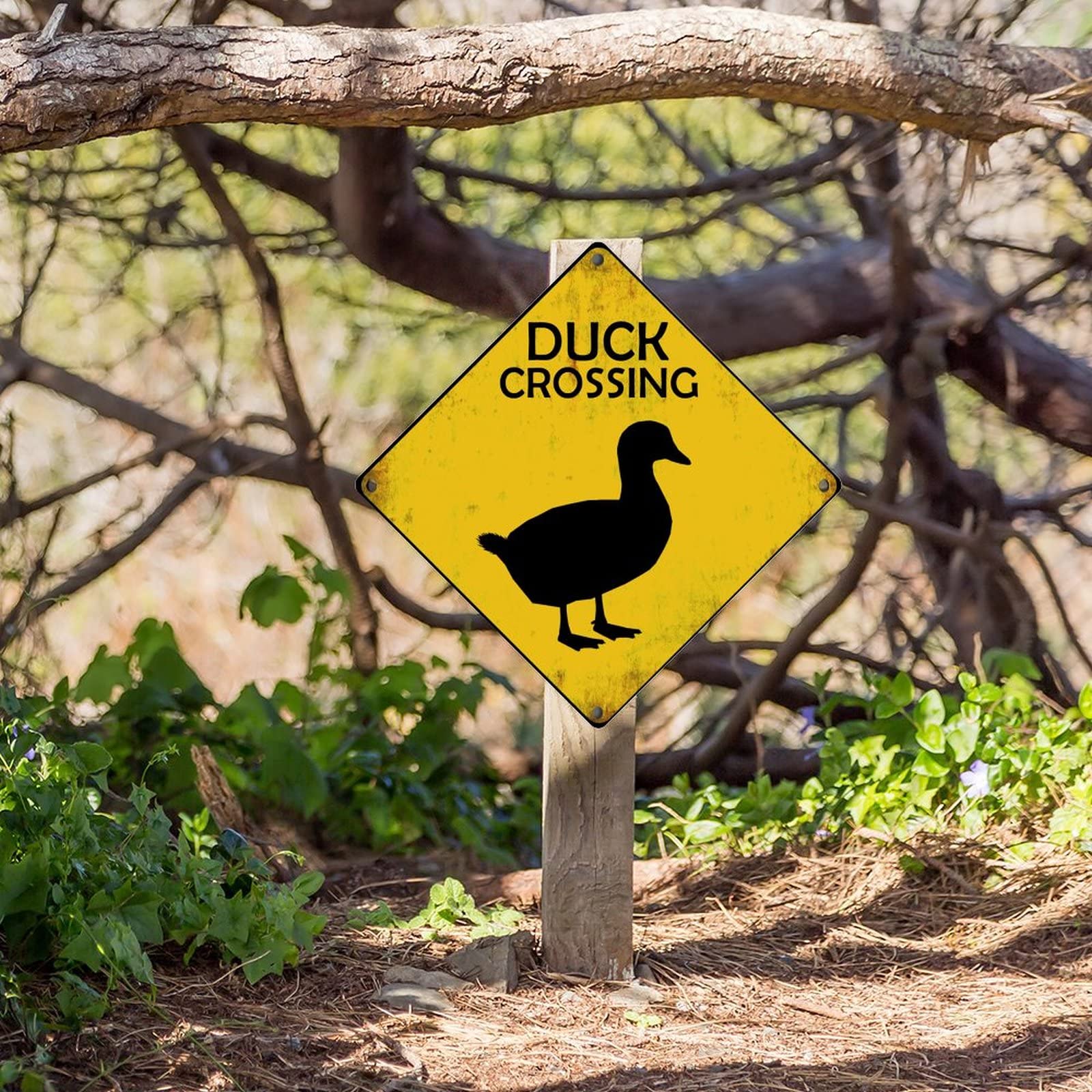 Duck Crossing Road Sign