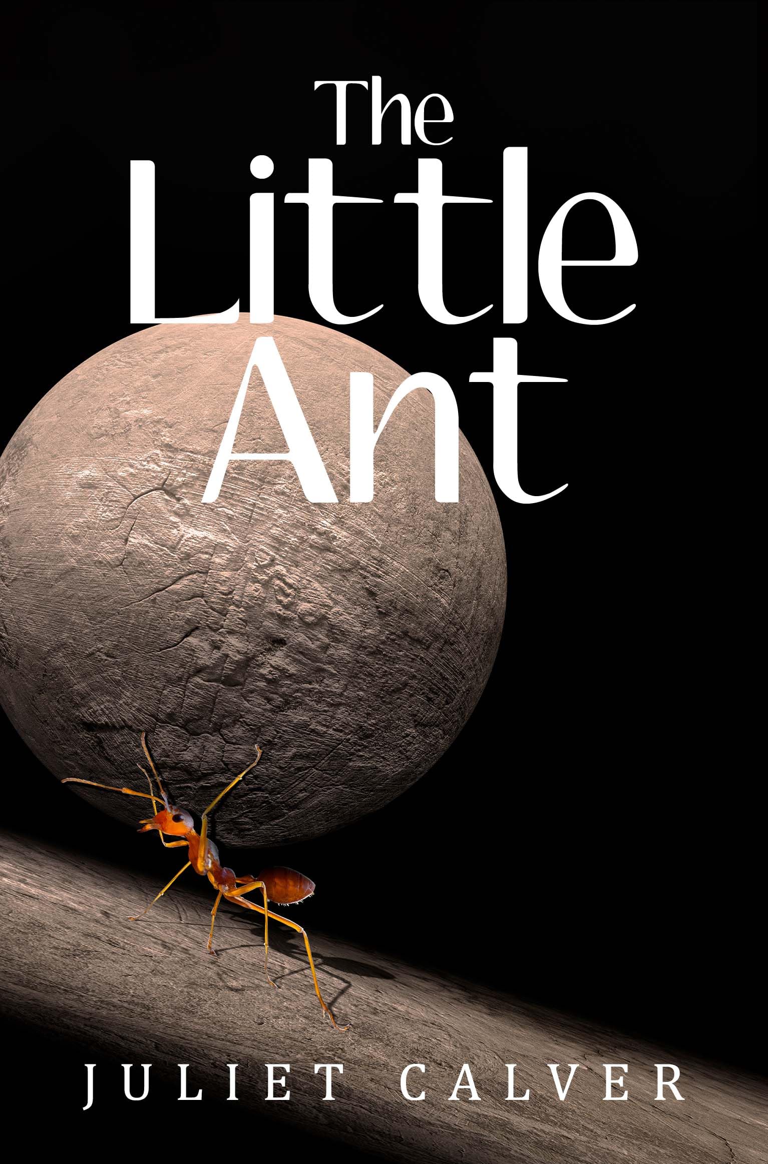 The Little Ant by Juliet Calver PAPERBACK 9781837943890