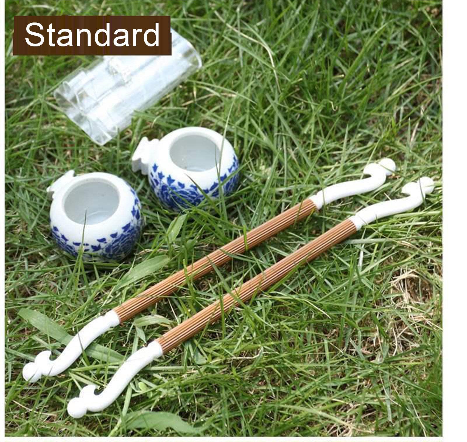 Gabbia per Canarini e Piccoli Uccelli Esotici Gabbia per Uccelli Rettangolare, Completa di Accessori e Mangiatoie Girevoli, Robusta in Metallo Verniciato,B