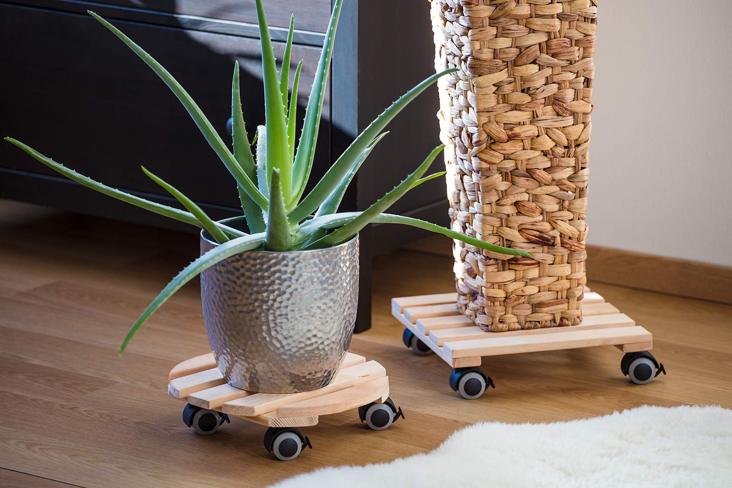 Metafranc Chariot pour Plantes Ø 300 mm 60 kg Plaque en pin Naturel Roues TPE 4 blocages