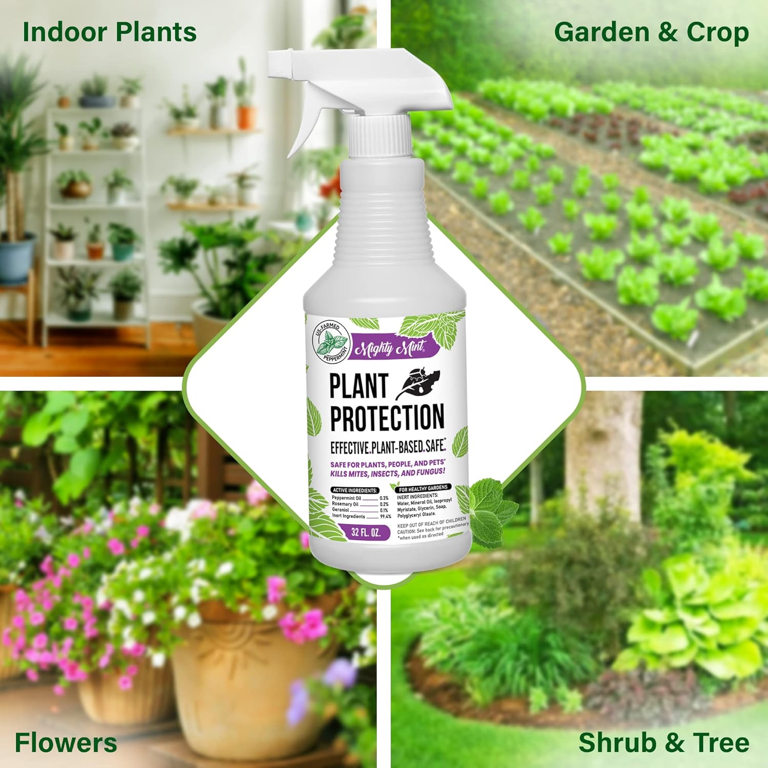 Mighty Mint Peppermint Oil Plant Protection Spray – Insect & Pest Control for Gnats, Spider Mites & Aphids – Plant-Based, Easy-to-Use with Microfiber Cloth- 32 oz - Image 3