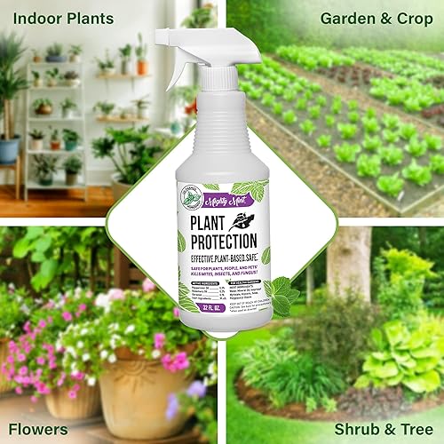 Miniatura 3 de Mighty Mint Spray de protección de plantas de menta de 32 onzas, para ácaros, insectos, mosquitos, hongos y enfermedades con paño de microfibra