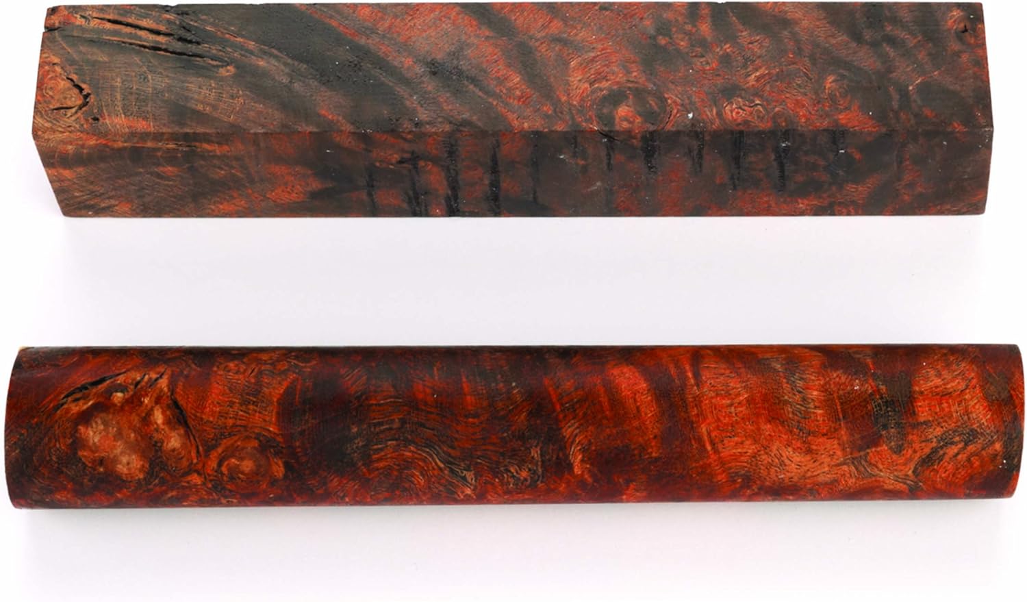 やなぎかわ ESP サンダーバード5弦 2 やなぎかわ ESP サンダーバード5