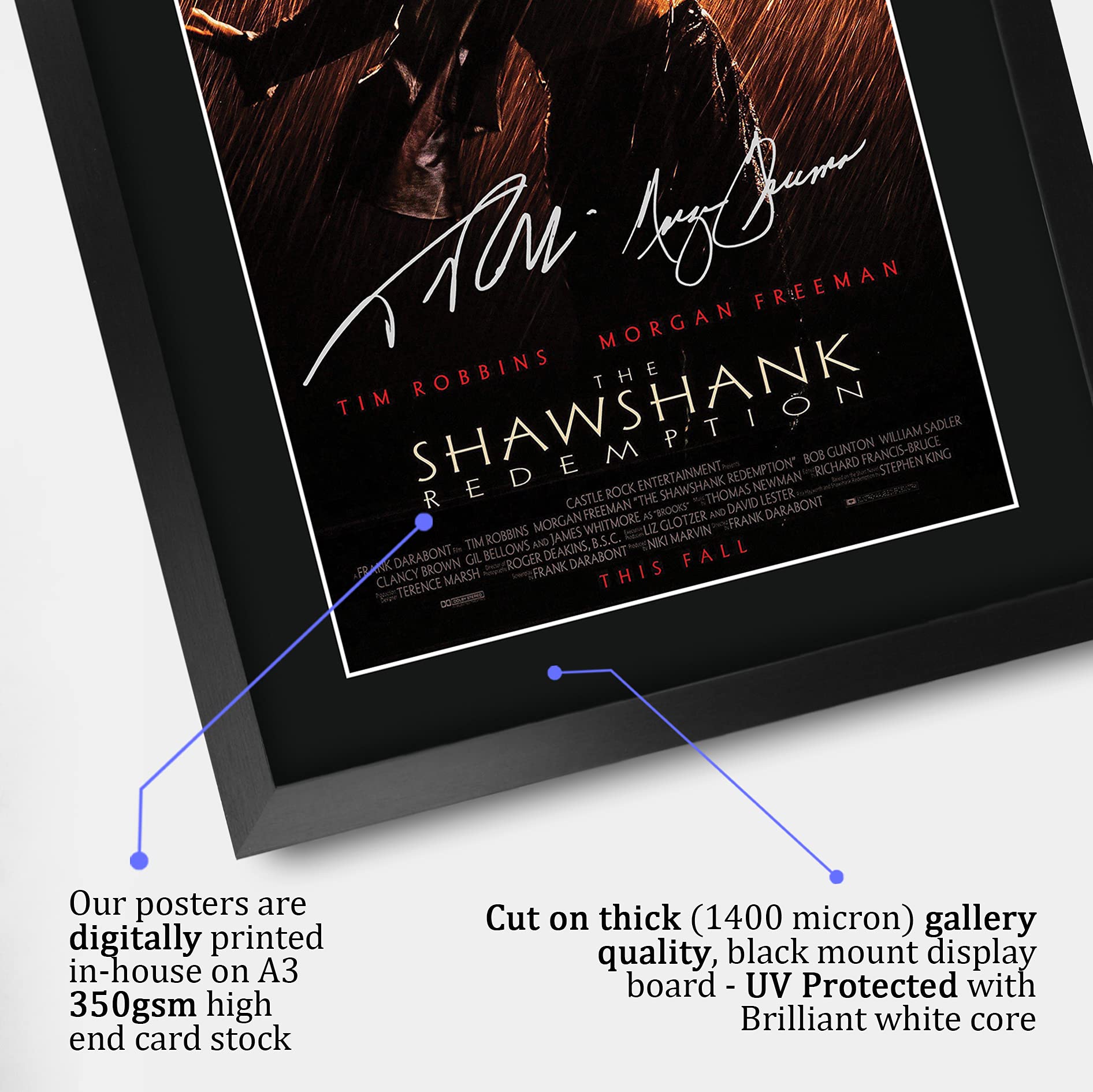 HWC Trading The Shawshank Redemption A3 Gerahmte Signiert Gedruckt Autogramme Bild Druck-Fotoanzeige Geschenk Für Tim Robbins Morgan Freeman Filmfans