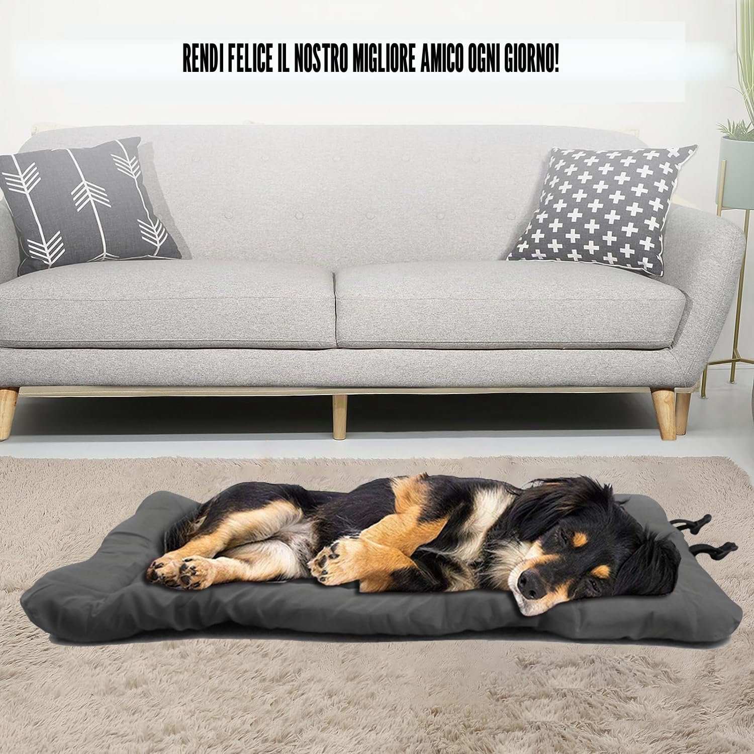 Northogo Letto portatile per cani, impermeabile, pieghevole, per viaggi all'aperto, scatola per cani, 90 x 60 cm, grigio