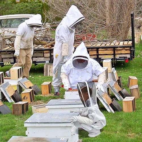 Miniatura 7 de PNKKODW Traje de abeja para niños y niñas, traje de apicultura profesional de cuerpo completo con capucha de velo para hombres y mujeres, apicultor