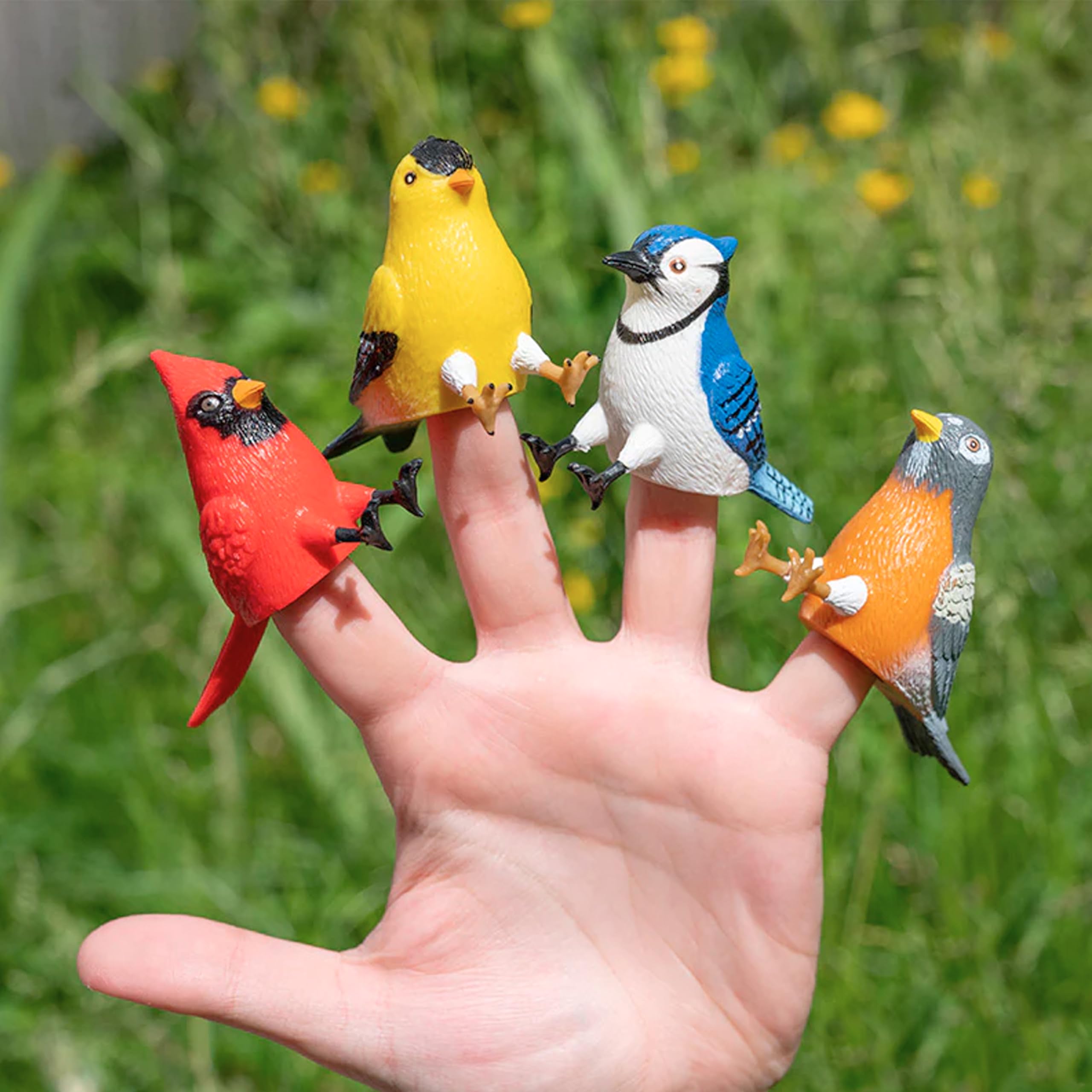 Accoutrements Whimsical Bird Feeder Social Set: Cardinal, Goldfinch, Robin, and Gossiping Blue Jay Finger Puppets (4-Pack), Red, Blue, Yellow, 13072