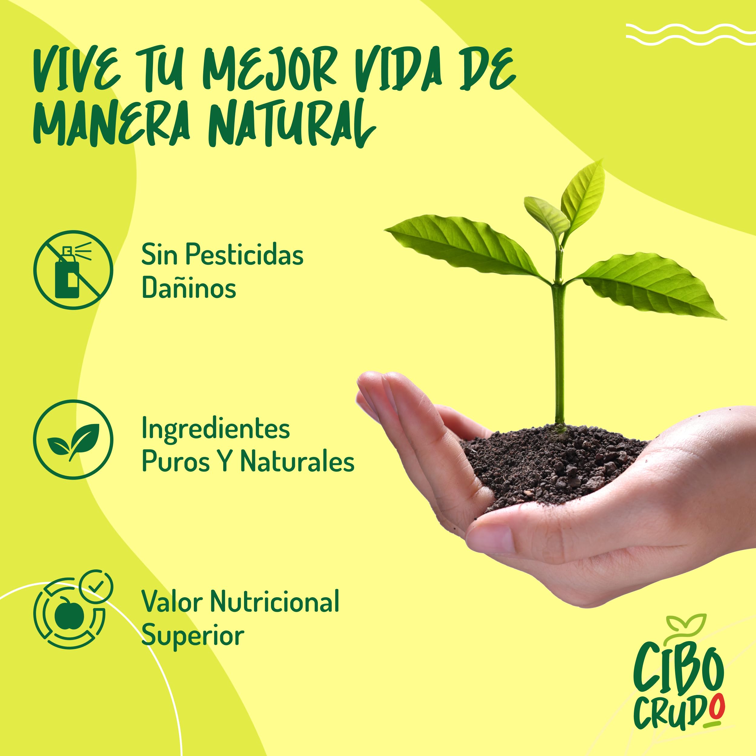 Aceite de Aguacate para Cocinar Orgánico - 500ml. Aceite Aguacate Orgánico 100% Puro y Sin Refinar. Aceite de Aguacate Orgánico Prensado en Frío. Ideal para Cocinar, Condimentar y Marinar. Avocado Oil