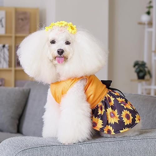 Miniatura 27 de CuteBone Vestido de malla para perro, vestido de Halloween para cachorros, traje de verano para mascotas, moda de verano para perros pequeños, ropa