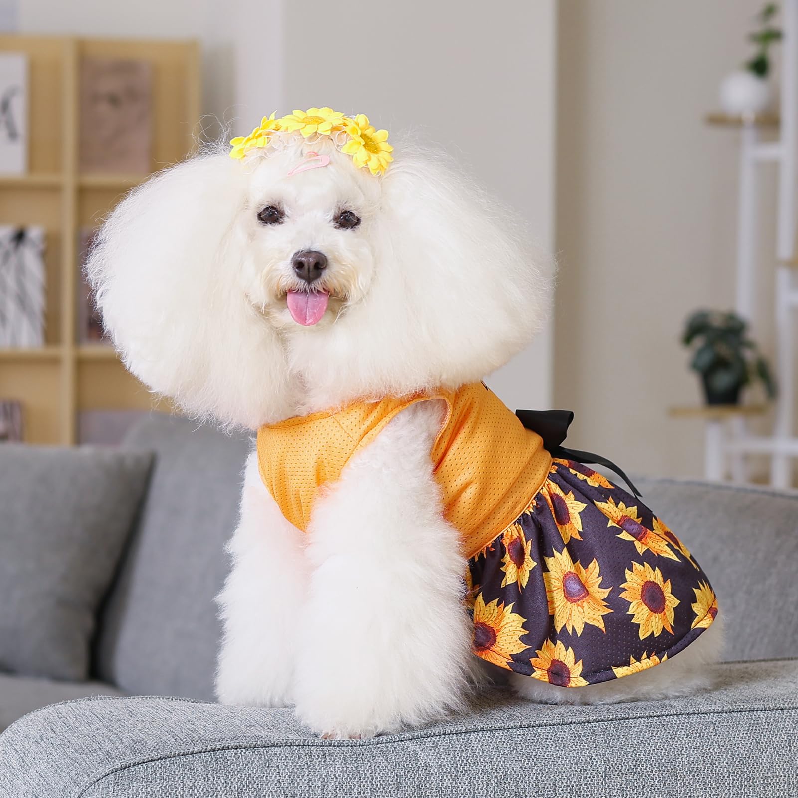 CuteBone Dog Mesh Dress Puppy Sundress Pet Outfit Summer Fashion for Small Dogs Girl Cat Clothes BF32XXS-D - 4
