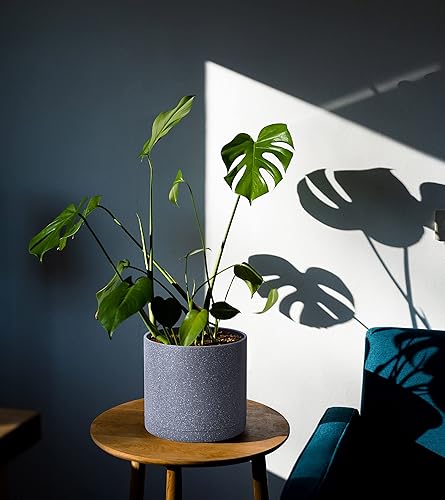 Miniatura 106 de D'vine Dev Macetas de plástico de 10 pulgadas para macetas de plantas con agujero de drenaje y platillos sin costuras, color negro, 74-X-B-2 Mate