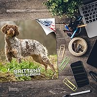 Vista 1301 de Razas de Perros 2017