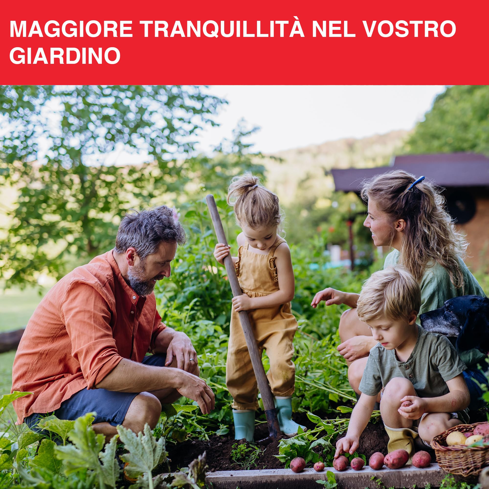 SWISSINNO Trappola Arvicola PRO SuperCat – Trappola a Scatto da Tunnel per Arvicole & Topi Campestri, Scatto Sensibile, Montaggio Facile, Cattura Roditori Riutilizzabile per Giardino – 1 Pezzo