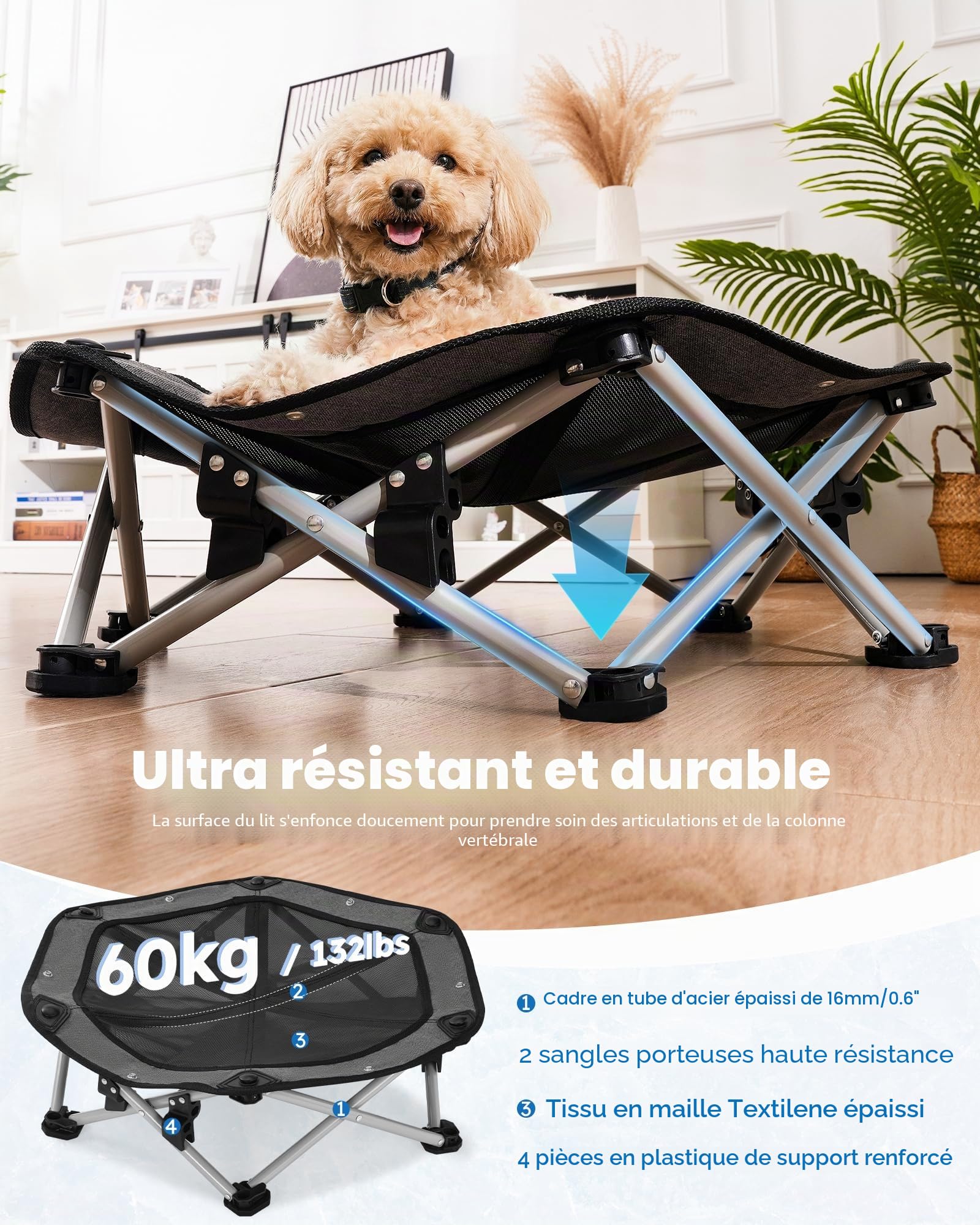 Pecute Tapis Rafraichissant Chien avec Lit Chien Sureleve Rafraîchissant, Panier Chien Pliable Portable, Respirant Antidérapant, Jusqu'à 60 kg, Intérieur Extérieur, Taille M 66x60x15cm