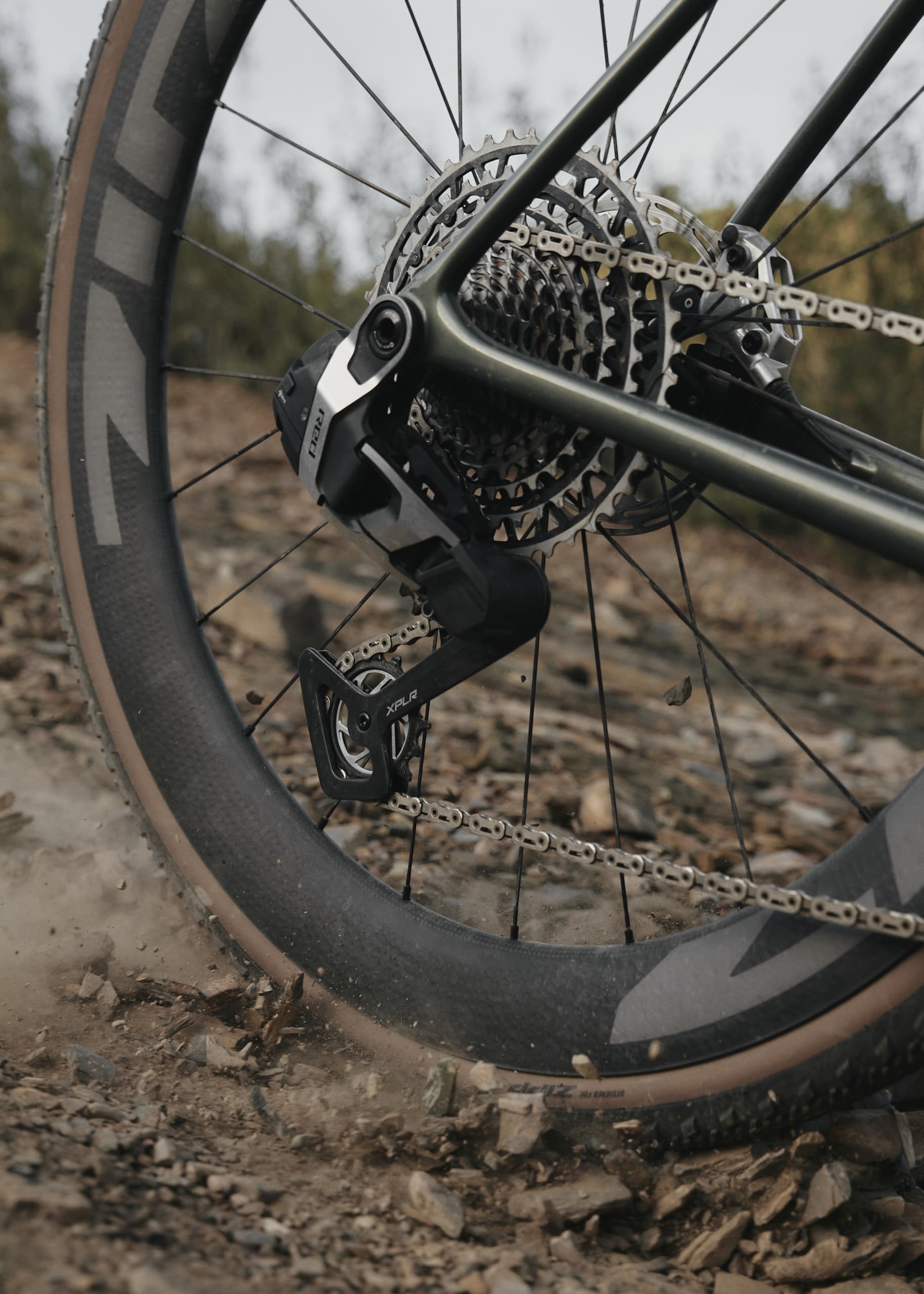 Amazon.com : SRAM RED XPLR XG-1391 Cassette - 13-Speed, 10-46t