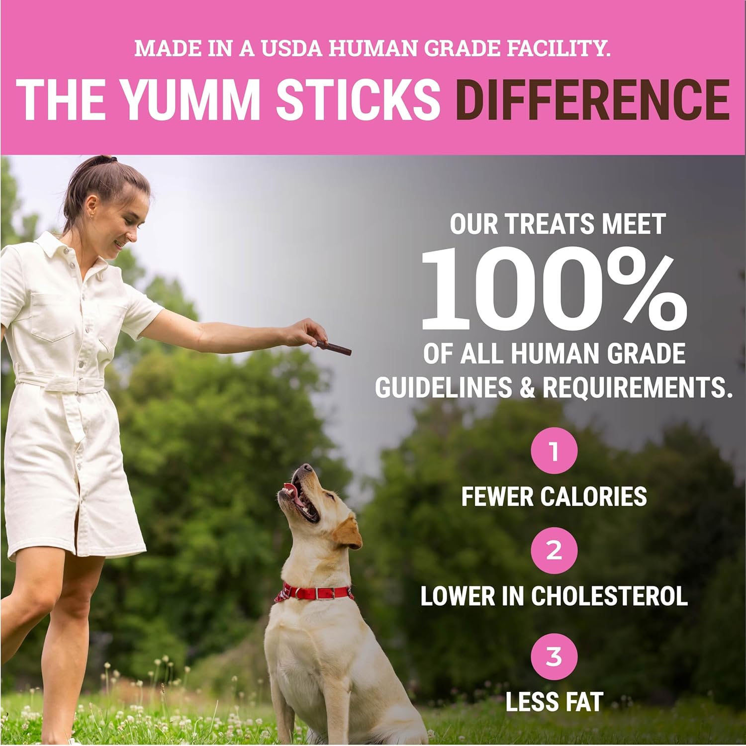 etta says! Yumm Sticks Natural Dog Treats - Pork Dog Jerky Treats - Human-Grade Jerky for Dogs - Made in The USA - 24 Count