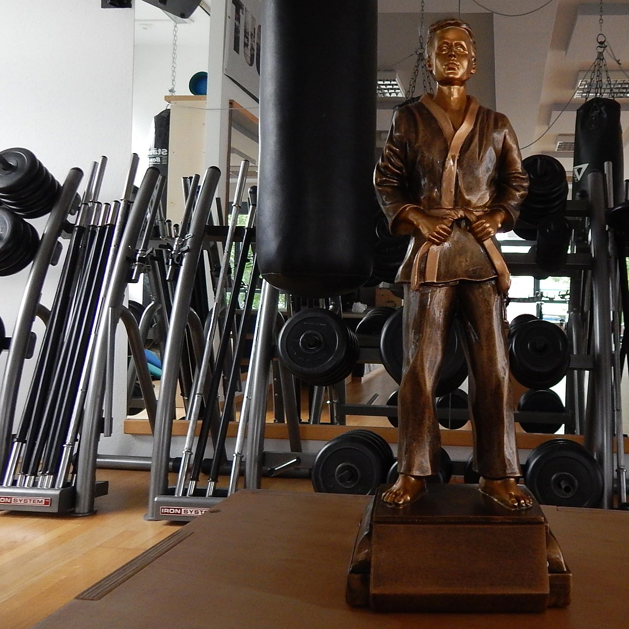 Sculpture Résine Arts Martiaux Henecka – Trophée Ou Déco Pour Kickboxing, Judo, Karaté, Jiu-Jitsu, Muay Thai, Taekwondo, Wing Chun – Couleur Or-Bronze