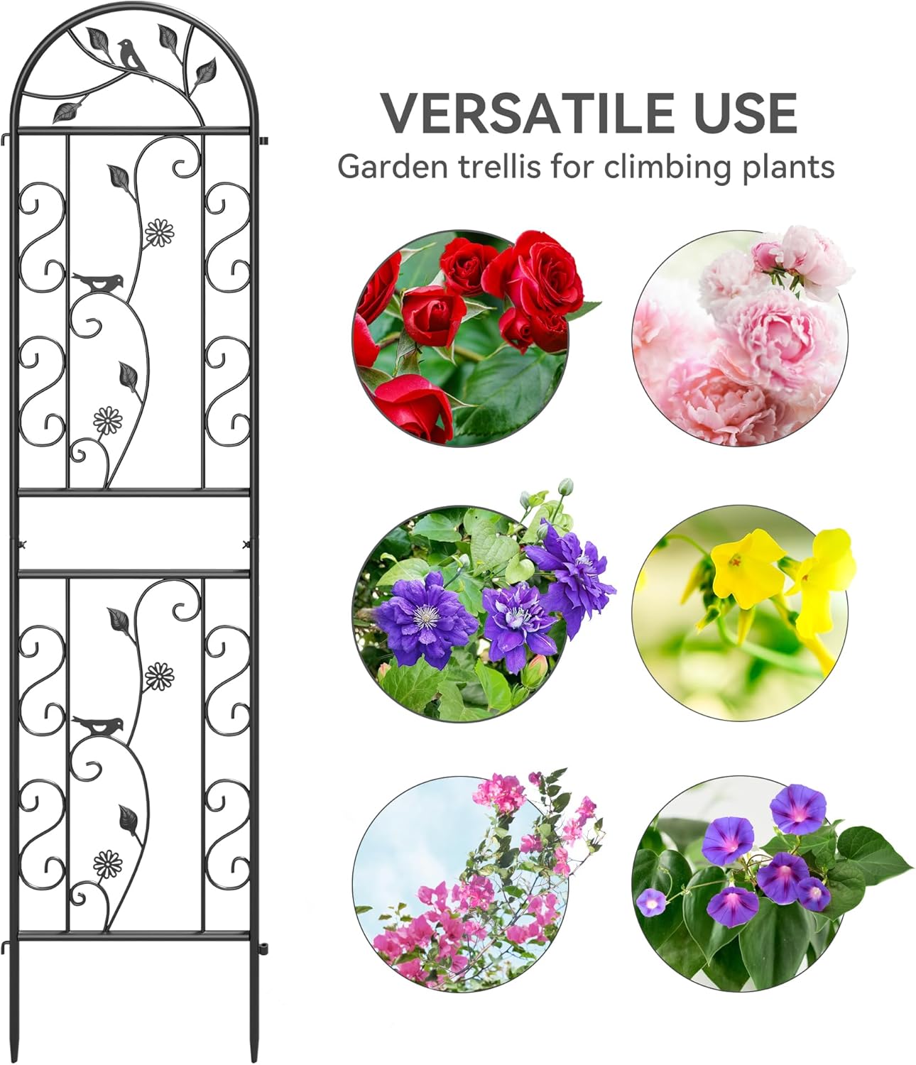 4 Pack 87x20in Garden Trellises, Daisy & Bird Black Metal Coated Rustproof Trellis for Climbing Plants Outdoor, Roses, Vegetables, Vines, Cucumbers