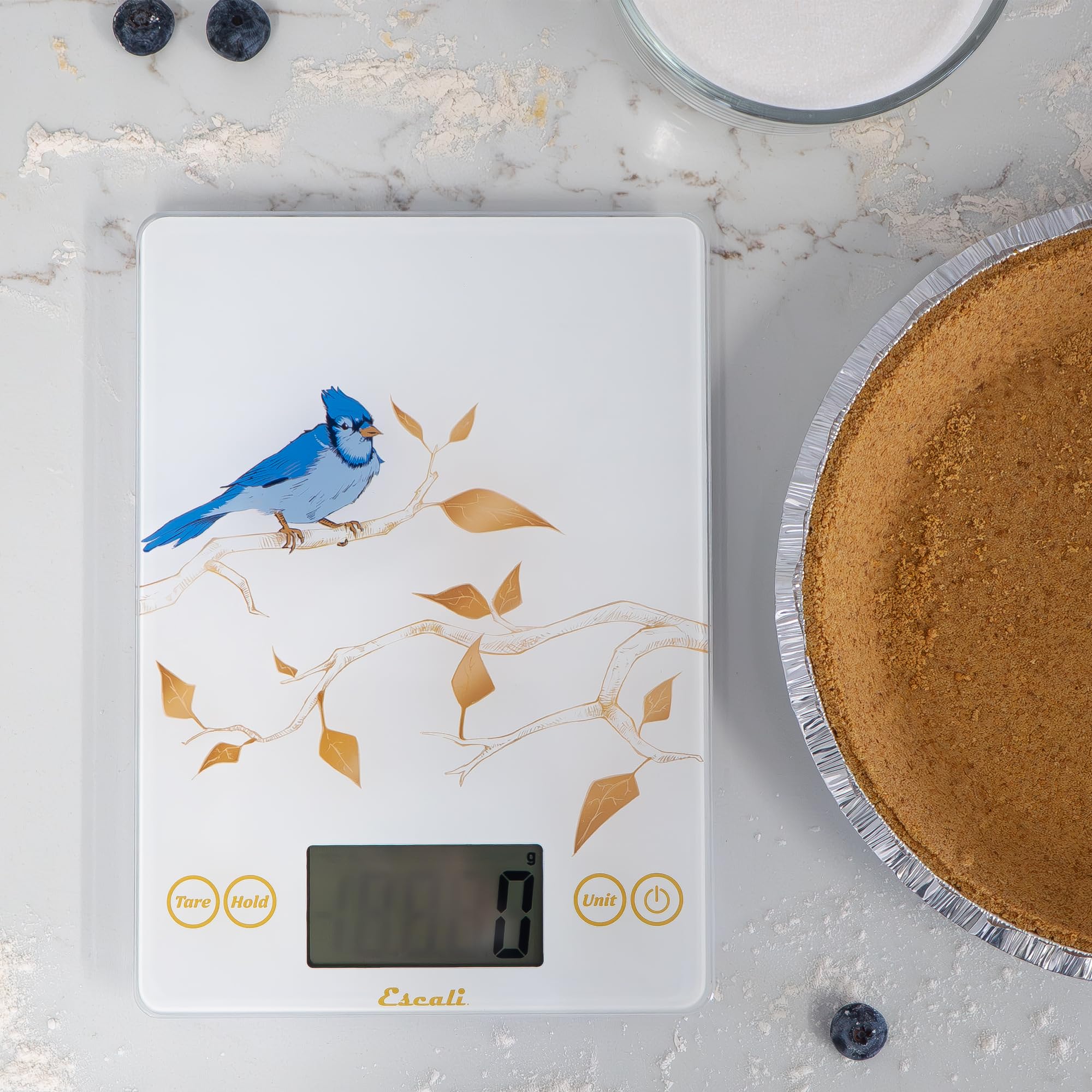 Escali Arti Blue Jay Küchenwaage aus Glas, digitale Küchenwaage, Back- und Kochwaage mit großem Display, 6,8 kg Kapazität, 22,9 x 16,5 x 1,9 cm, Weiß