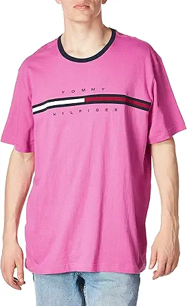 Tommy Hilfiger Men's Short Sleeve Signature Stripe Graphic T-Shirt