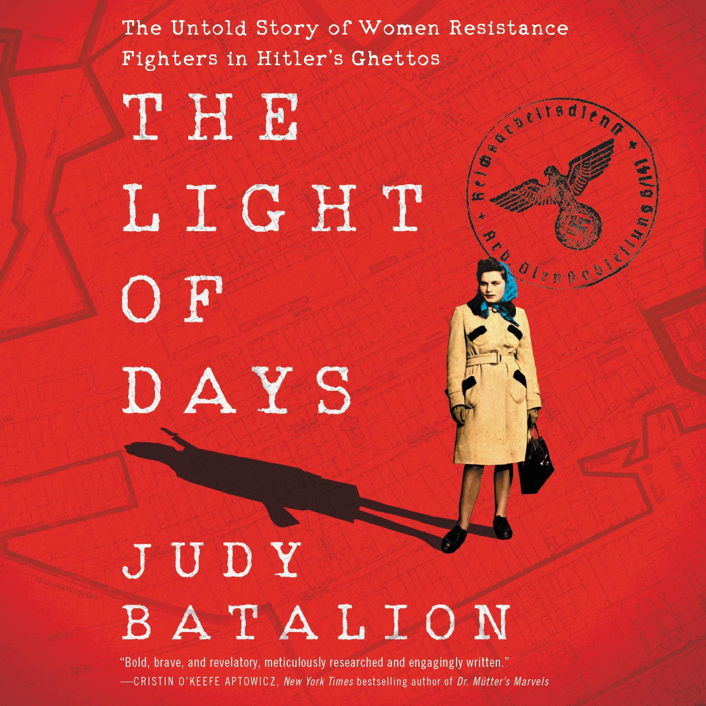 Cover art for The Light of Days