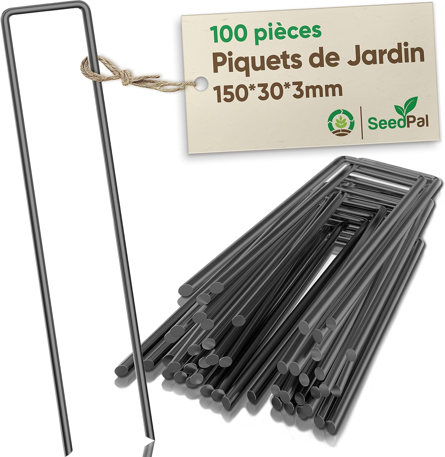 SeedPal Piquets de Fixation en Acier (100 Pièces) pour Toiles de