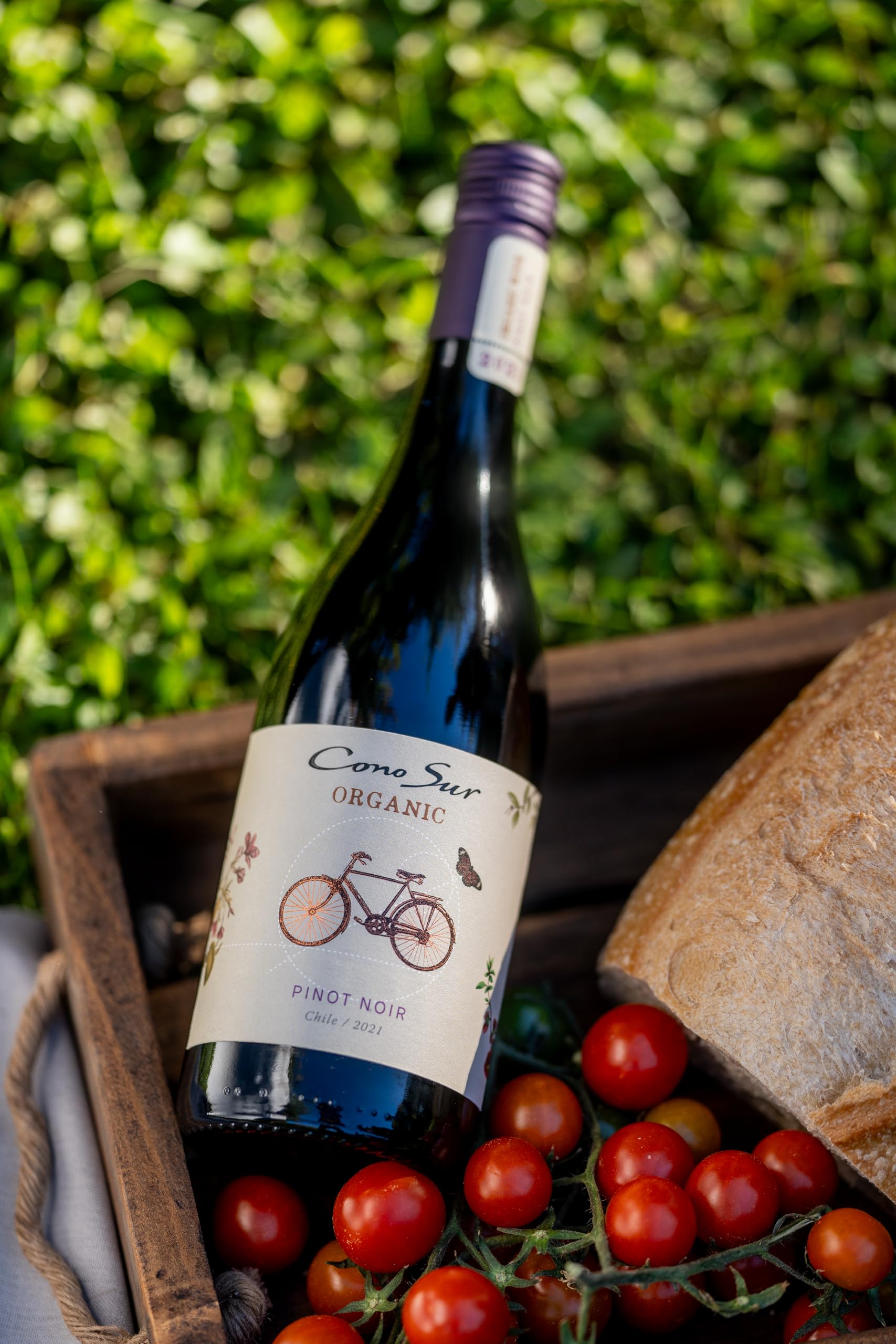 ノコ　オーノ 楽天市場】ノコ オーノの通販