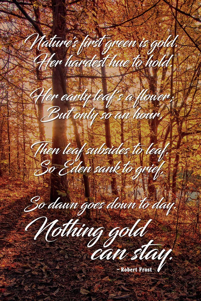 Amazon.com: Nothing Gold Can Stay Robert Frost Poem Poetry ...