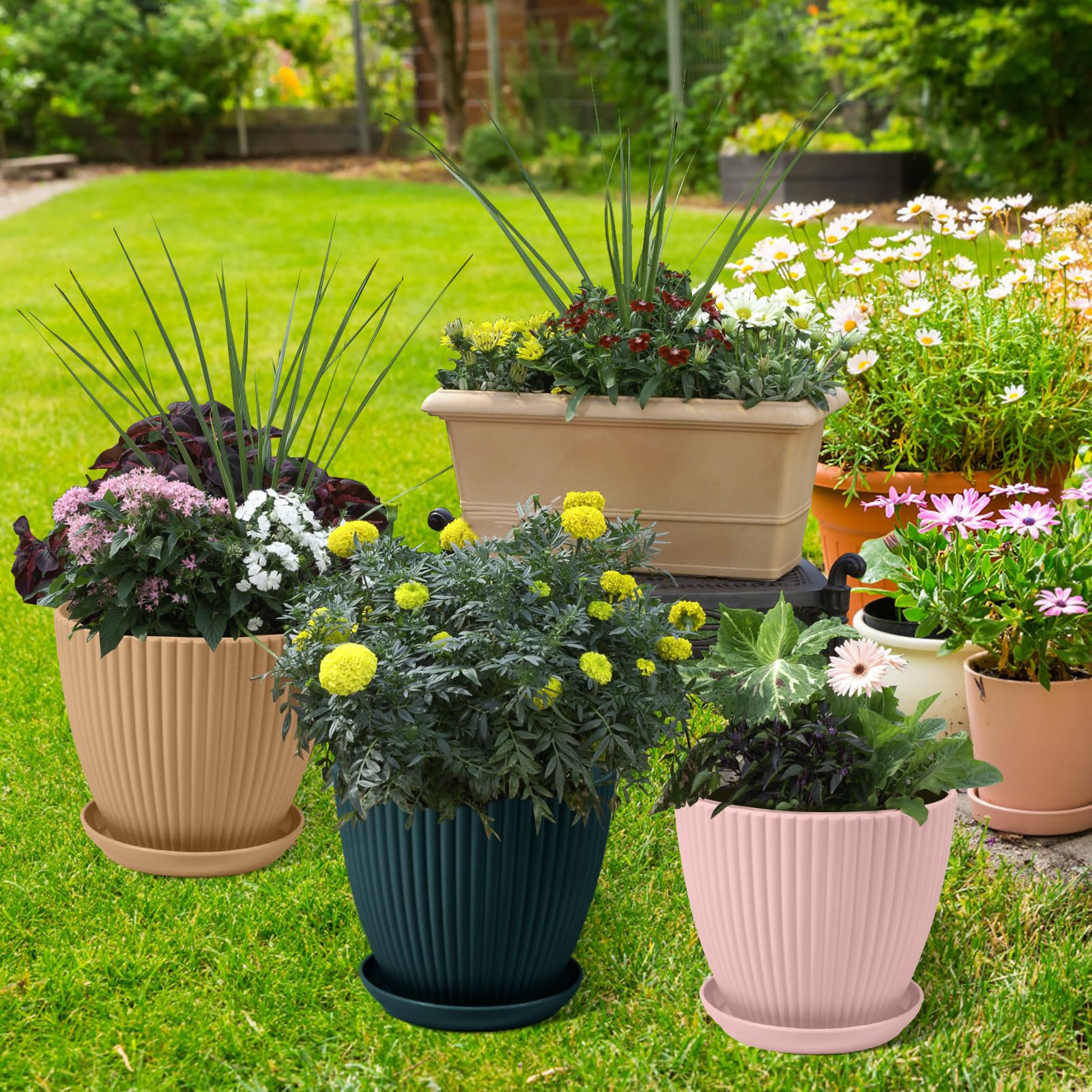 Amazon.com: MUXINCAMP 7 Inch Large Plant Pots, 6 Pack Flower Pots with  Drainage Hole and Tray Saucer Plastic Plant Pot for Outdoor Indoor House  Plants and Flowers Herbs (6 Colors) : Patio,
