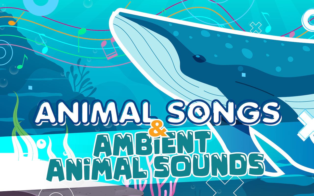 Amazon.ca: Animal Sounds : Alexa Skills