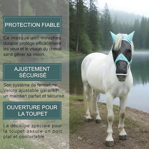 Masque Anti-Mouches pour Chevaux, Couvre-Nez et Oreilles, Protection Anti-UV, Maille Respirante, Grands Yeux, Ouvertures pour Les Poils du Front, sans Frottement, Turquoise Large - 2