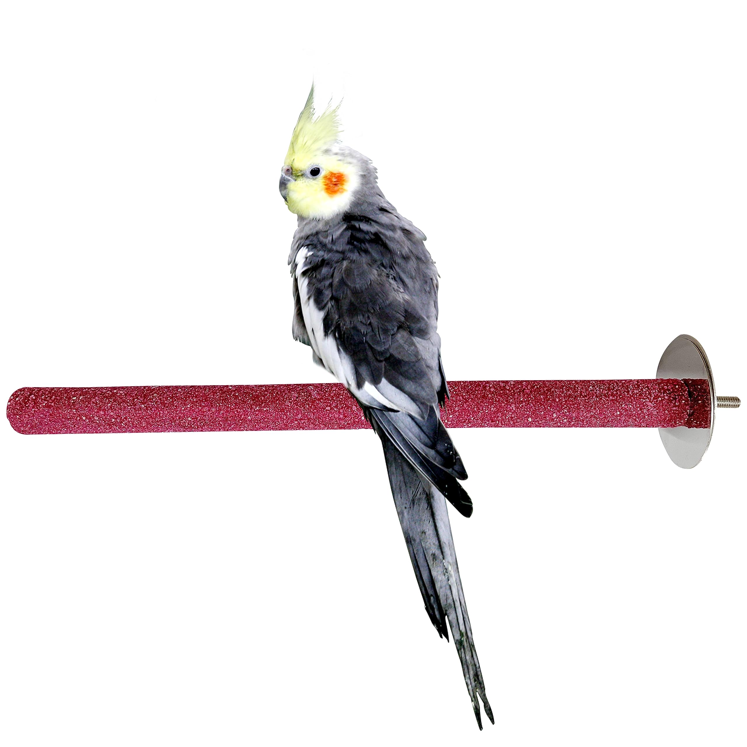 Congo® Premium Safe Chew Bird Sandy Sand Perch for Grinding Nail for Birds (Medium Sandy Perch 12") (B08RDN95TS) Amazon Price History, Amazon Price Tracker