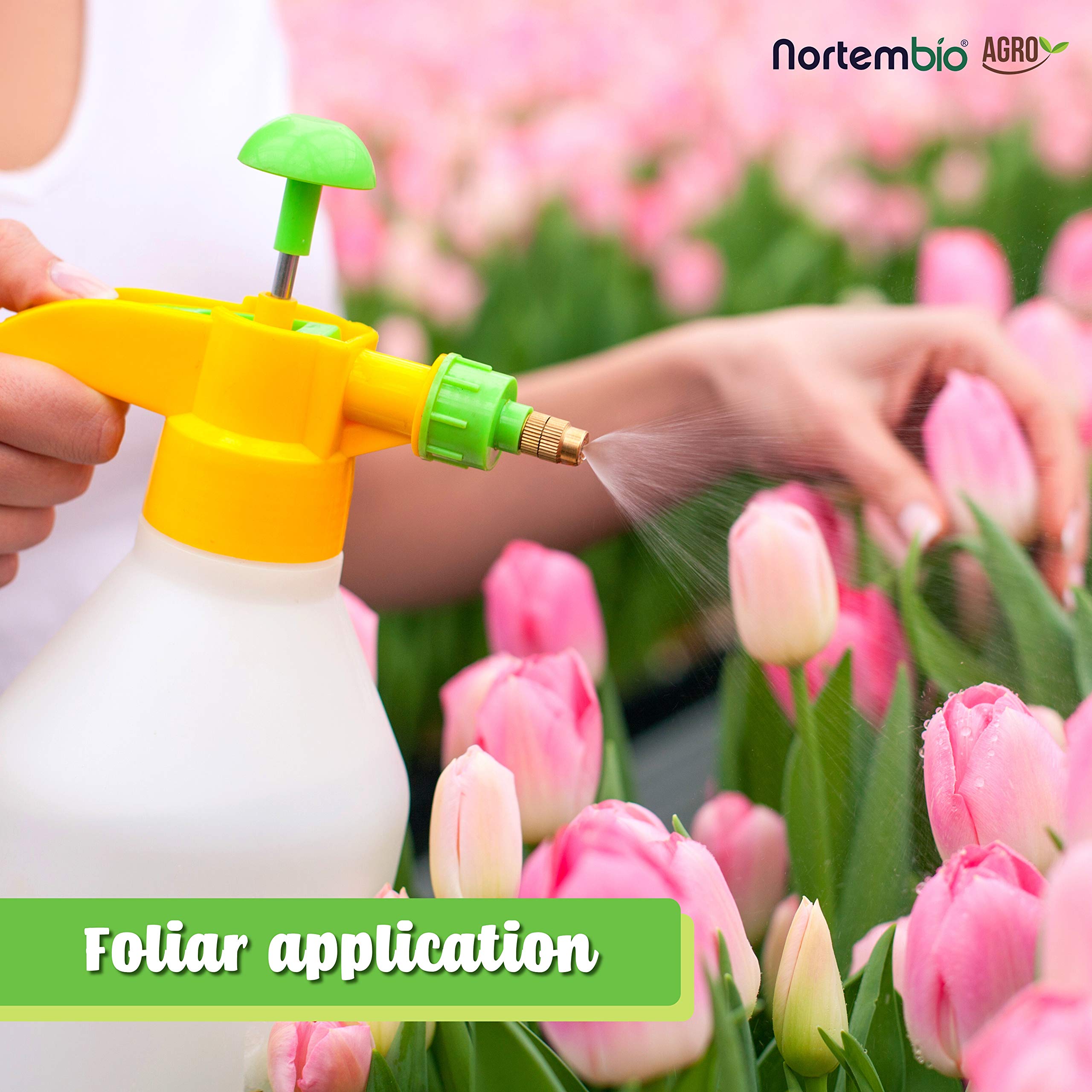 Nortembio Magnesium Sulphate Agro 5 Kg. Organic Garden Fertiliser. All