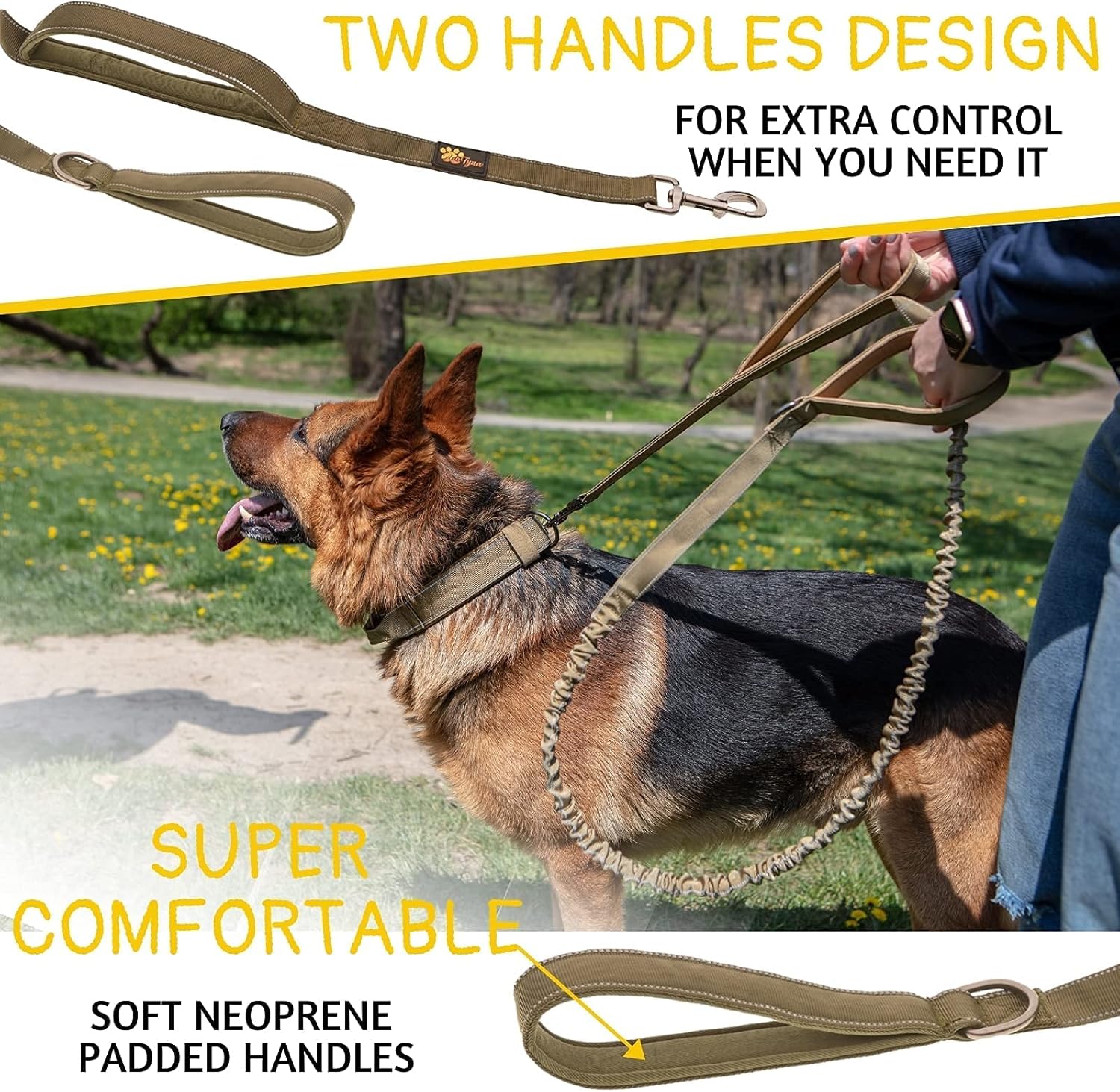 Green Bungee Dog Leash and Collar Set for Large Dogs