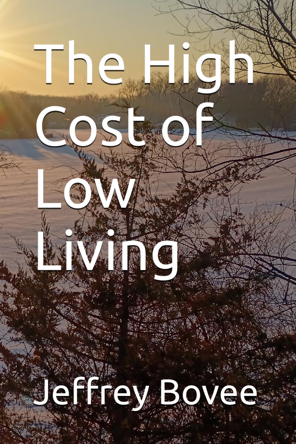 The High Cost of Low Living