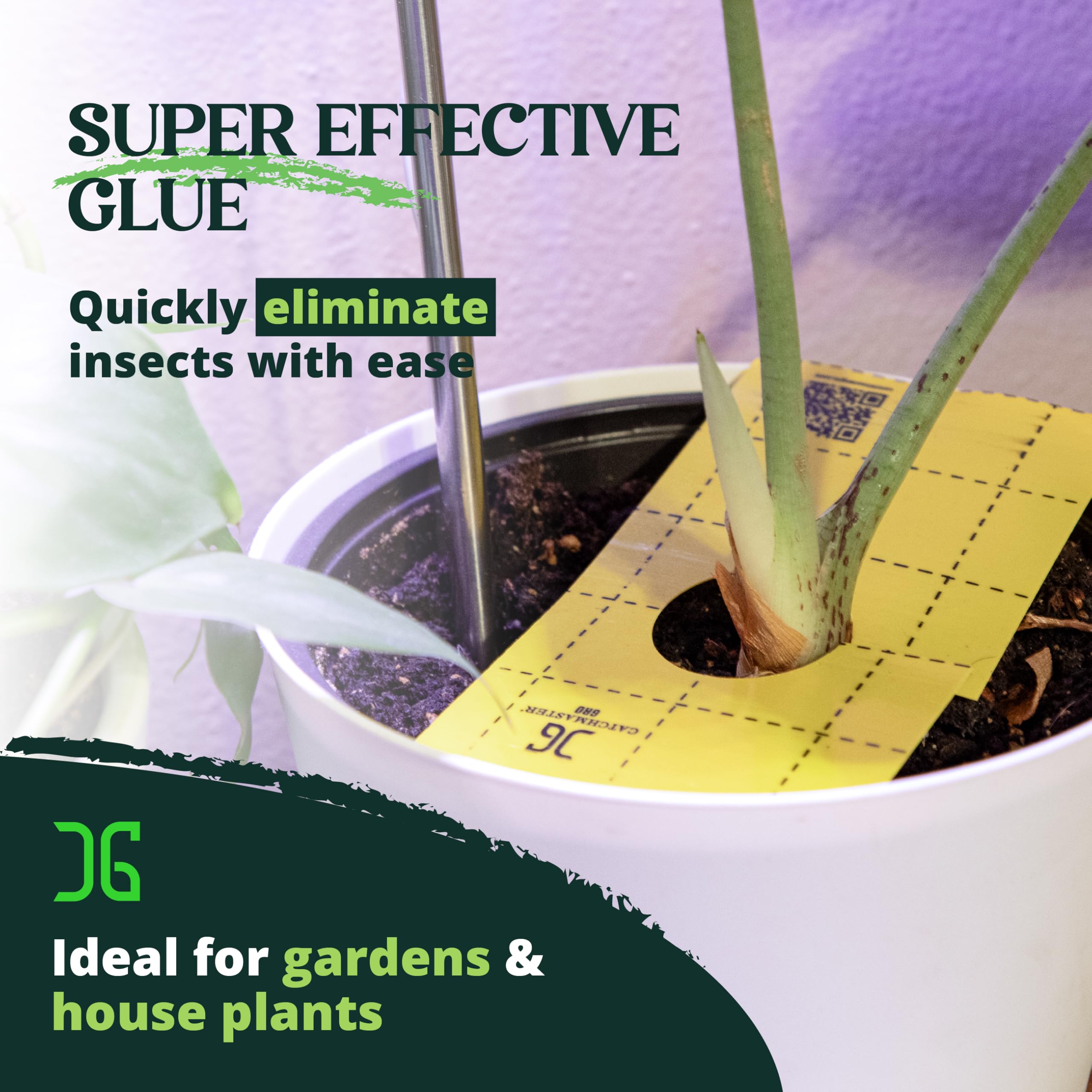 Catchmaster GRO - Trampa adhesiva amarilla para insectos para exteriores, con agujero central para insectos que se arrastran, protege plantas vivas de interior, insectos y moscas, trampas de pegamento