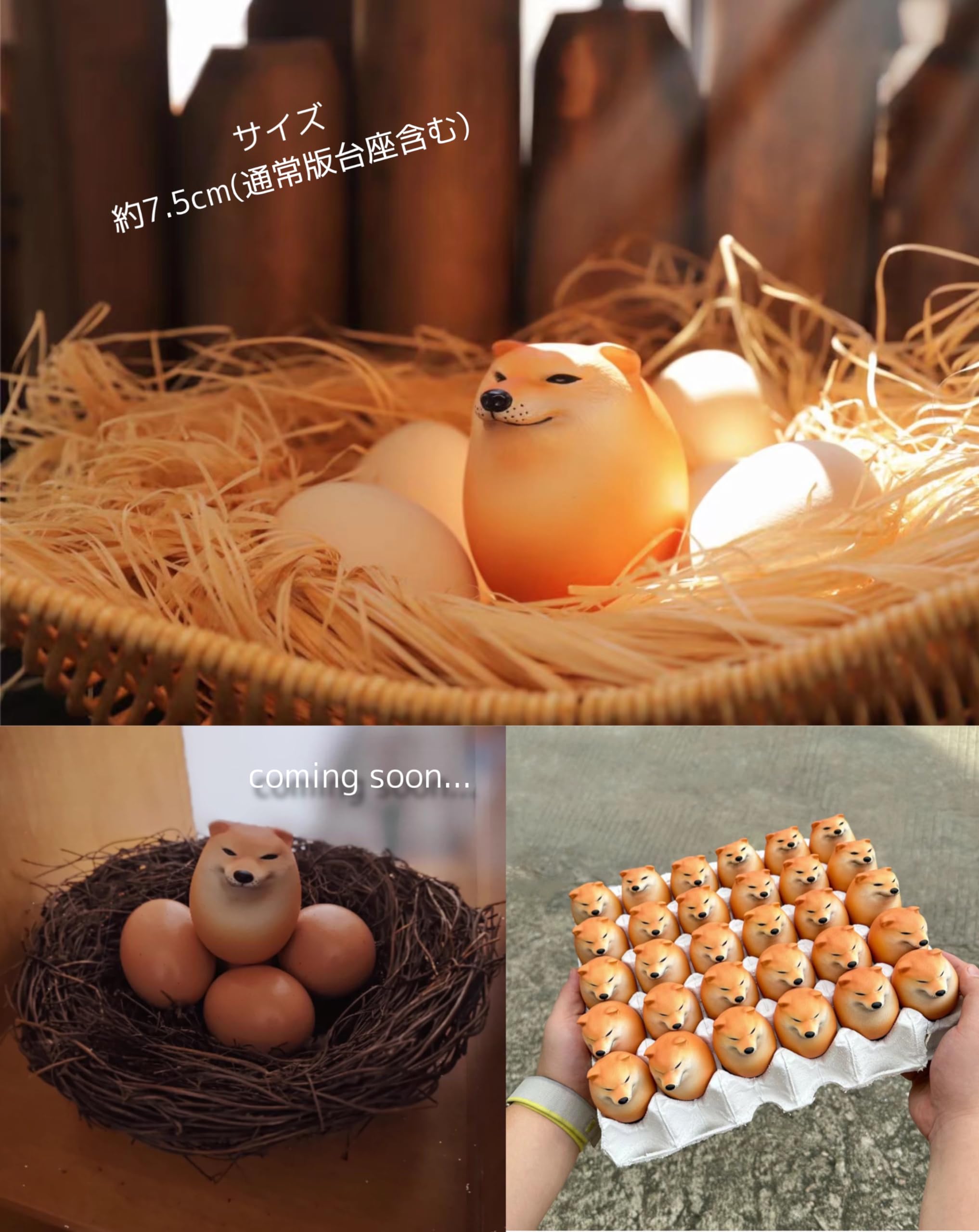 Amazon.co.jp: EGG SHIBAILNU たまご 柴犬 しばいぬ 卵 おもしろ
