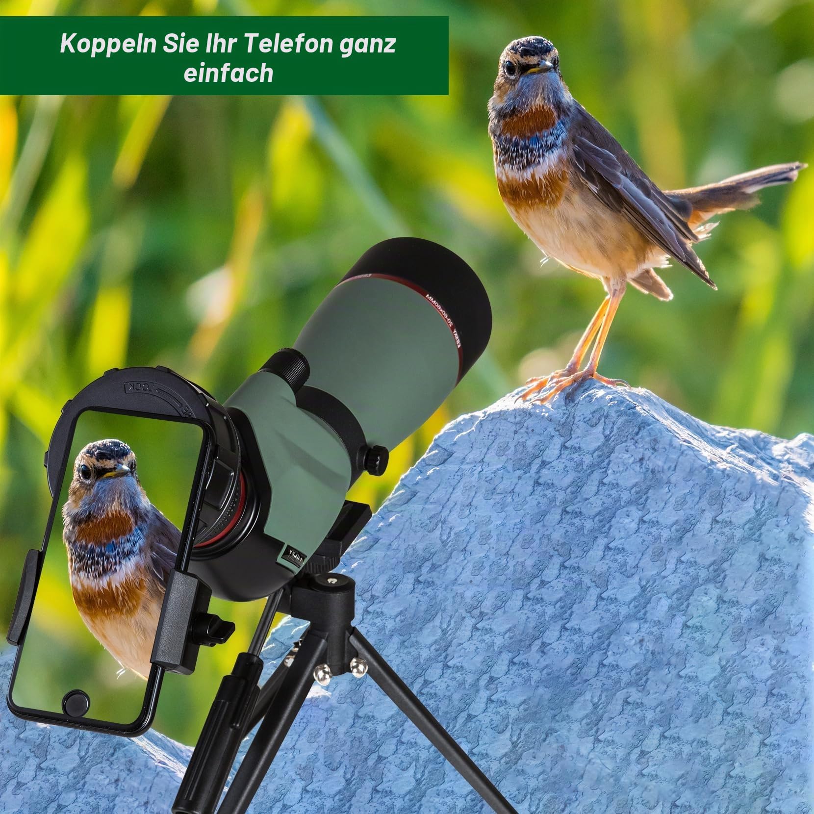 Gosky Fernrohre mit Stativ Tragetasche Telefonhalter