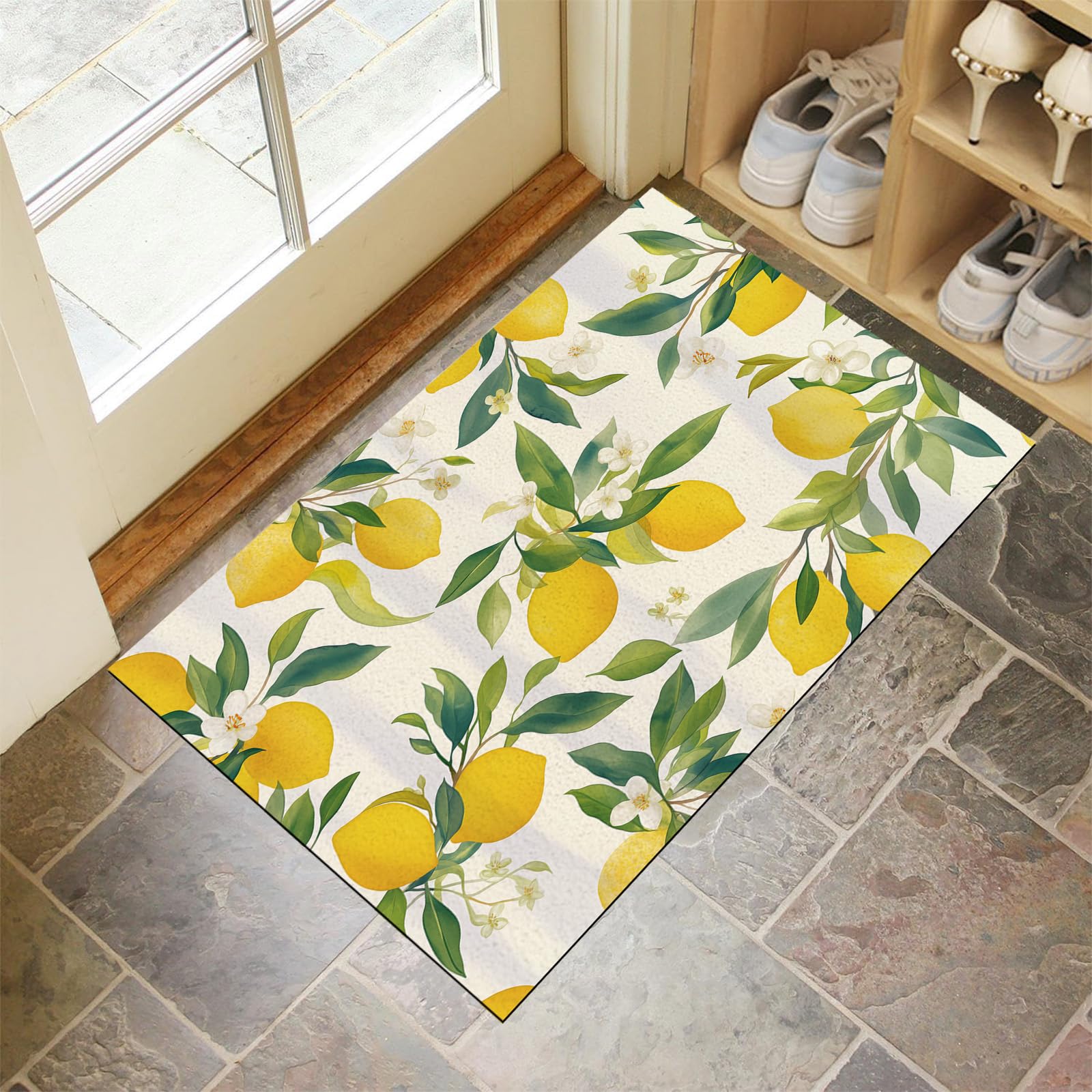 Tapis lavable résistant de 50x80cm pour stopper la boue de la cour