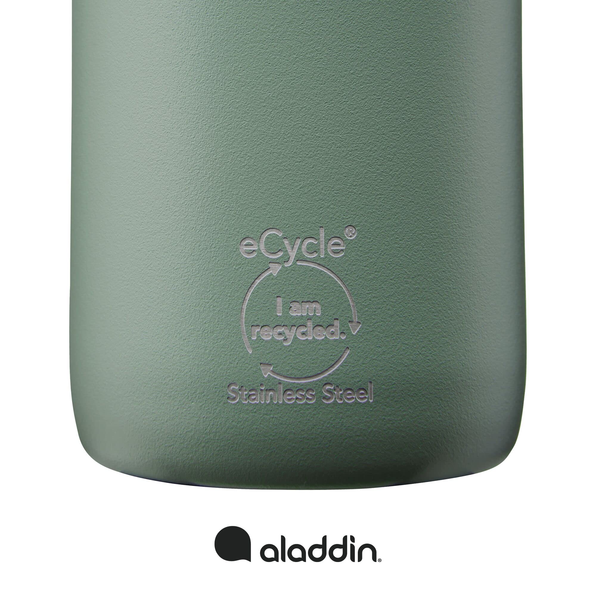 aladdin CityLoop Isolierflasche, 0,6L, Salbei Grün
