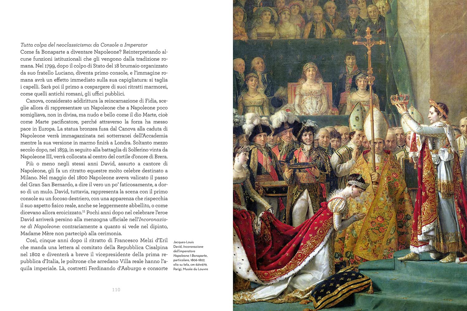 Il mio Napoleone. Indagini sull'uomo, la famiglia, l'Italia. Ediz. illustrata