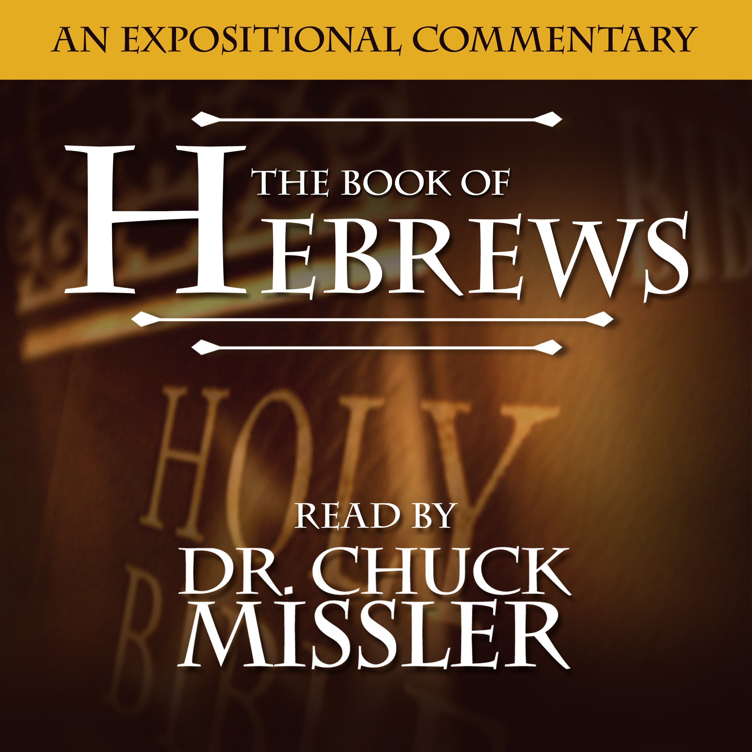 Cover art for The Book of Hebrews: A Commentary